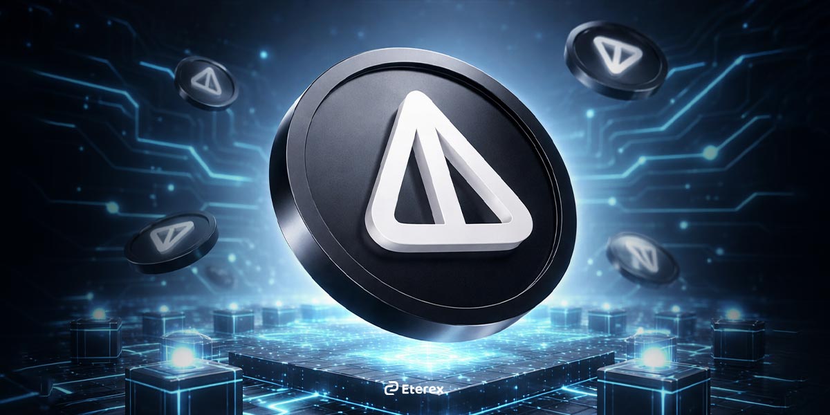 نات کوین چیست؟ پروژهای که از هیچ به همهجا رسید تعریف نات کوین