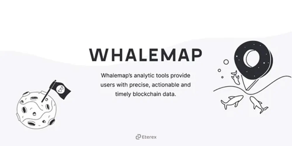 ابزار ردیابی نهنگ کریپتویی