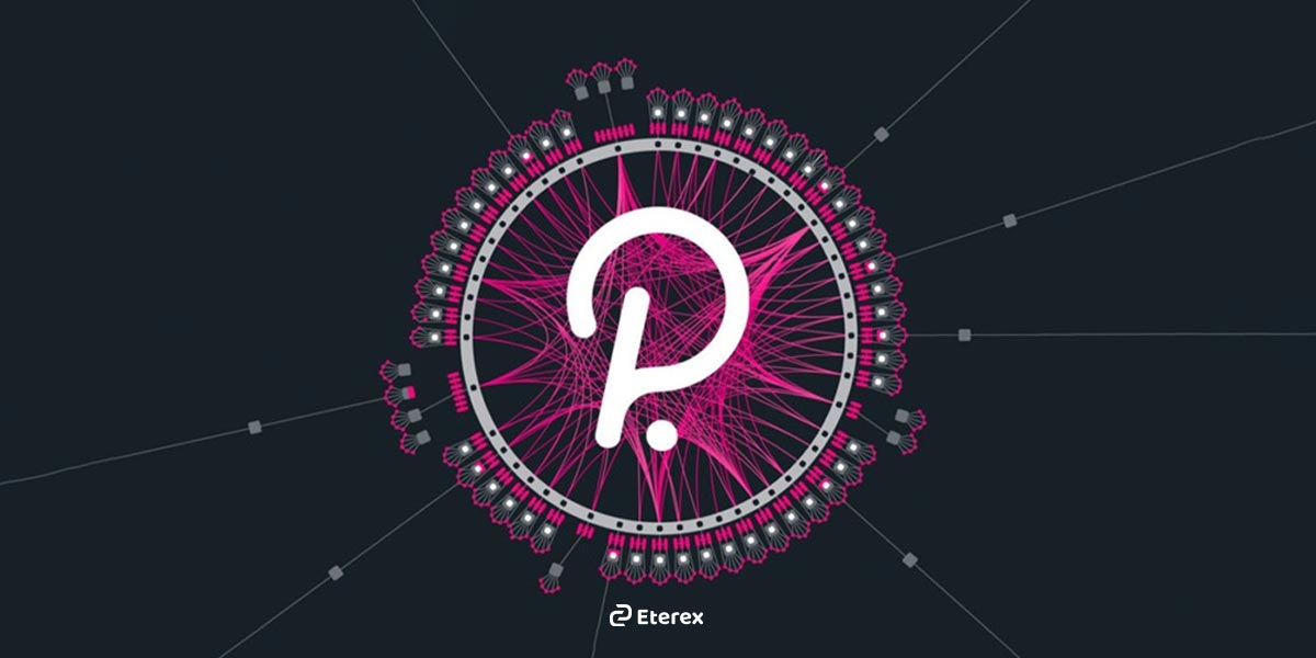 برترین بلاکچین های ۲۰۲۵: معرفی بهترین بلاکچین های جهان در یک نگاه بلاکچین پولکادات