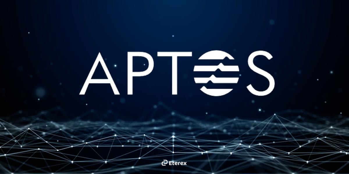 برترین بلاکچین های ۲۰۲۵: معرفی بهترین بلاکچین های جهان در یک نگاه بلاکچین آپتوس