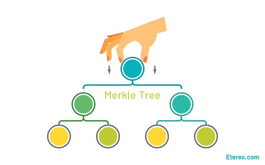 منظور از درخت مرکل (Merkle Tree) چیست؟