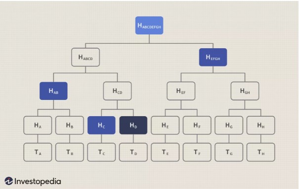 درخت مرکل (Merkle Tree)