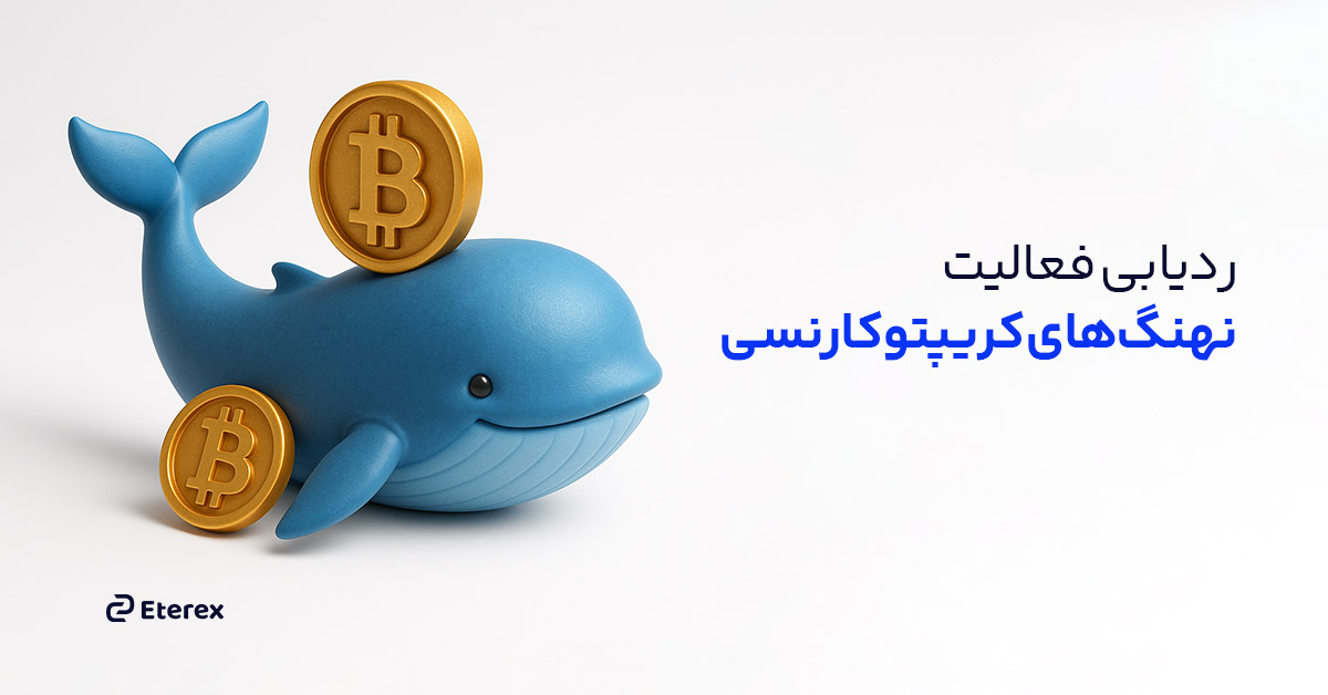 ردیابی فعالیت کیف پول نهنگ‌ های کریپتوکارنسی