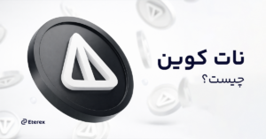 نات کوین چیست؟ پروژه‌ای که از هیچ به همه‌جا رسید